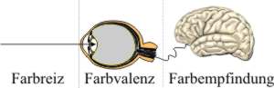 Schema der Farbempfindung